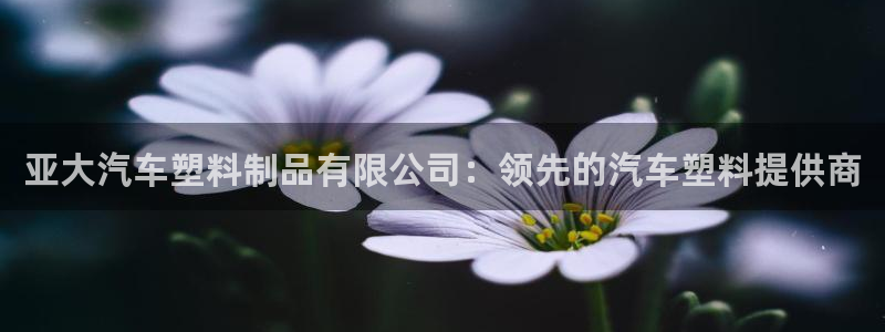 太阳集团股份有限公司官网：亚大汽车塑料制品有限公司：领先的汽