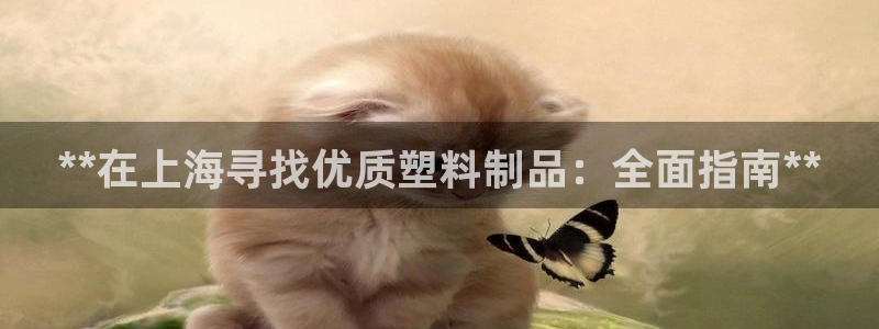 太阳集团游戏城新版138：**在上海寻找优质塑料制品：全面指