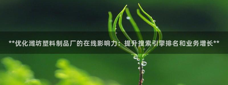 太阳集团的老总是谁：**优化潍坊塑料制品厂的在线影响力：提升