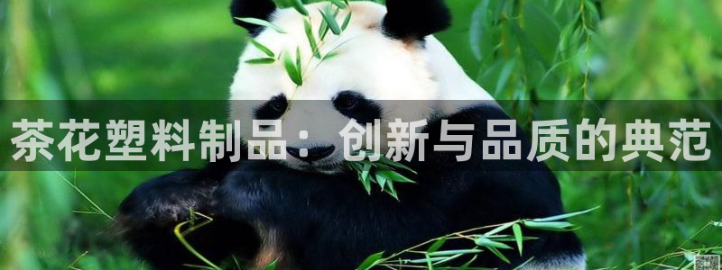 太阳集团网站入口官网网址：茶花塑料制品：创新与品质的典范