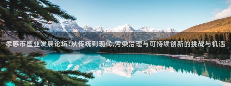 太阳成下载：孝感市塑业发展论坛:从传统到现代,污染治理与可持