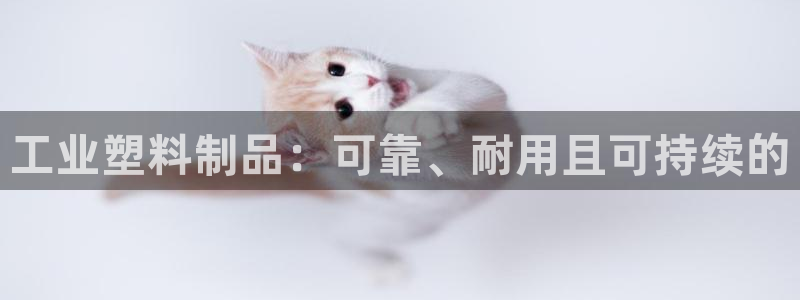 太阳集团城2017：工业塑料制品：可靠、耐用且可持续的