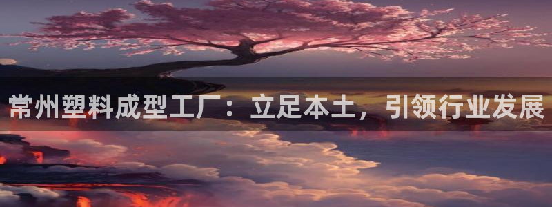 太阳集团娱乐官方网站入口：常州塑料成型工厂：立足本土，引领行