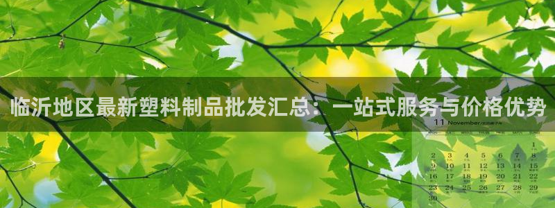 太阳软件：临沂地区最新塑料制品批发汇总：一站式服务与价格优势