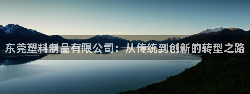 太阳集团公司董事长：东莞塑料制品有限公司：从传统到创新的转型