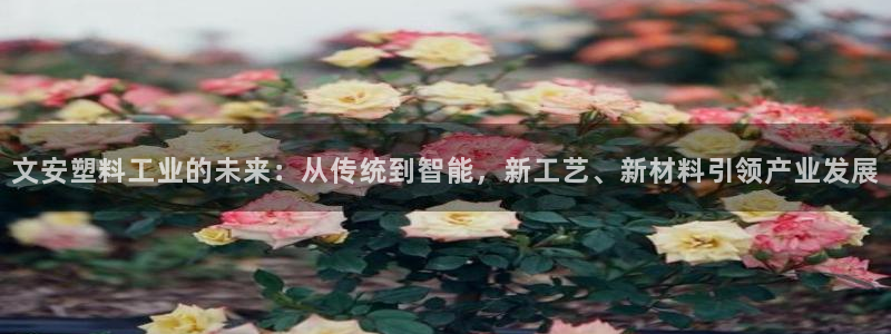太阳诚集团是干什么的：文安塑料工业的未来：从传统到智能，新工