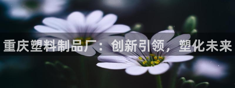太阳商城贵宾会：重庆塑料制品厂：创新引领，塑化未来