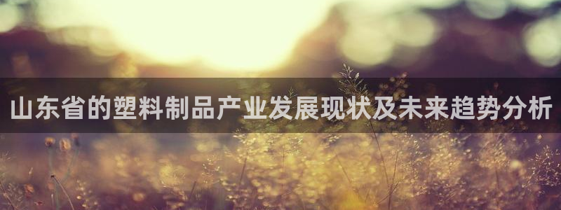 太阳1城集团网址查询：山东省的塑料制品产业发展现状及未来趋势