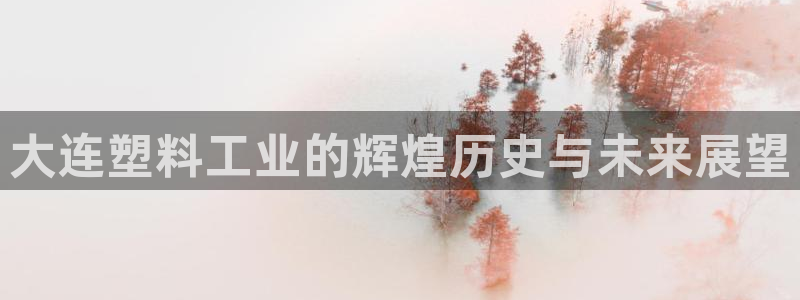 太阳集团入口官网网址：大连塑料工业的辉煌历史与未来展望