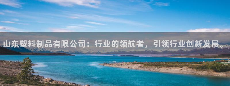 太阳集团城官方app下载：山东塑料制品有限公司：行业的领航者