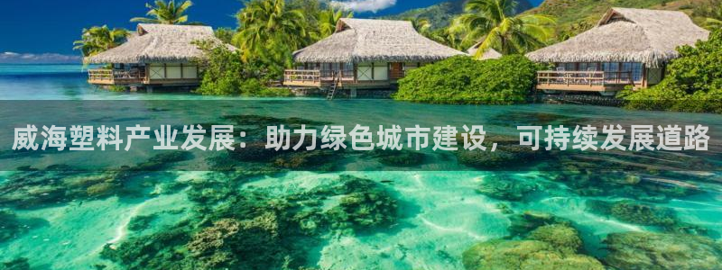 太阳成集团tyc234cc[主页]网址：威海塑料产业发展：助