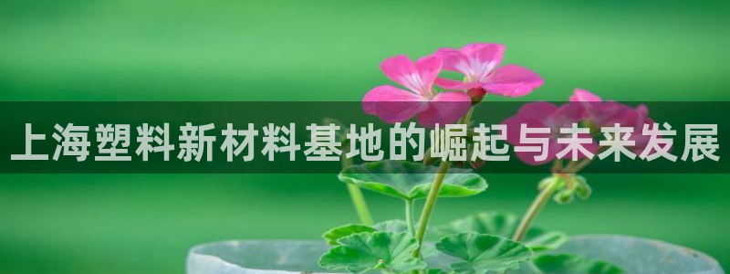 太阳集团所有网址16877官网：上海塑料新材料基地的崛起与未