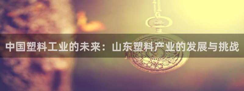 太阳gg是真的吗：中国塑料工业的未来：山东塑料产业的发展与挑