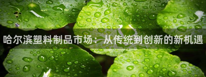 15vip太阳集团：哈尔滨塑料制品市场：从传统到创新的新机遇