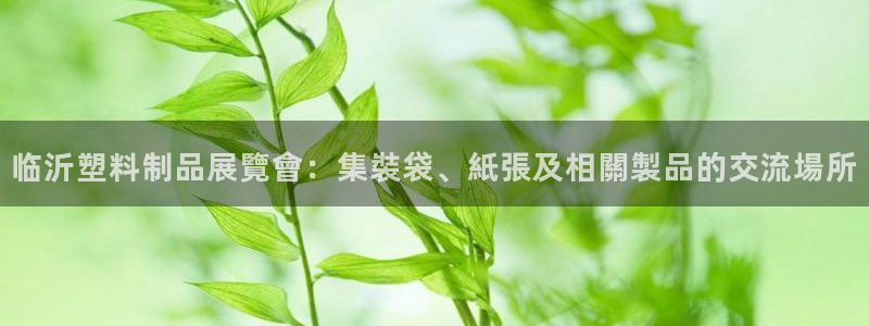 太阳集团电子游戏：临沂塑料制品展覽會：集裝袋、紙張及相關製品