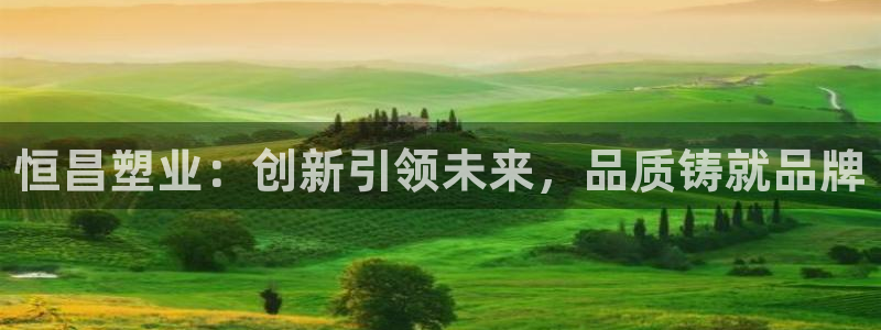 太阳影视公司：恒昌塑业：创新引领未来，品质铸就品牌