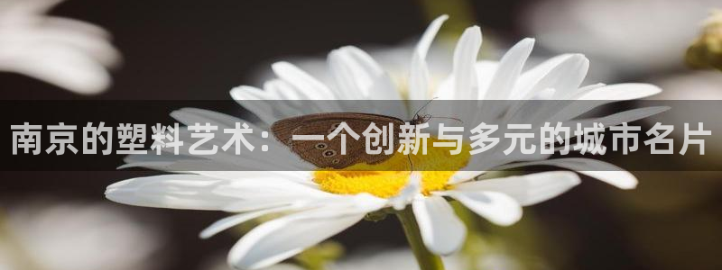 太阳集团影视：南京的塑料艺术：一个创新与多元的城市名片