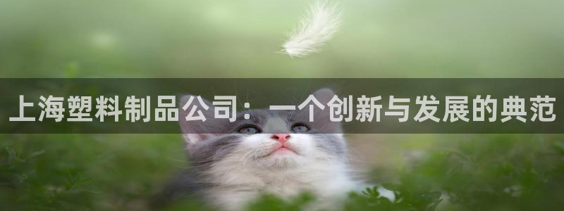 太阳集团是什么集团：上海塑料制品公司：一个创新与发展的典范