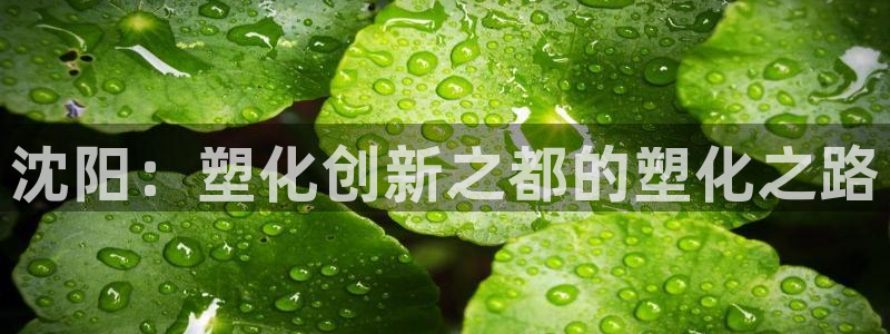 太阳集团备用网址：沈阳：塑化创新之都的塑化之路