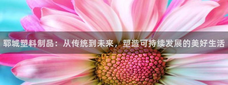 太阳集团市值：郓城塑料制品：从传统到未来，塑造可持续发展的美