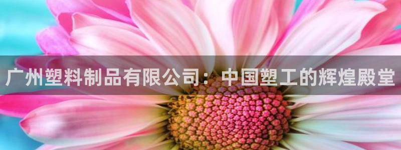 2018太阳集团游戏网站：广州塑料制品有限公司：中国塑工的辉
