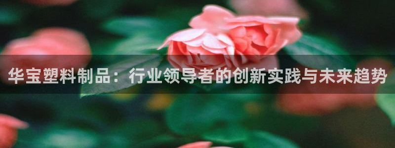 太阳集团电子游戏(中国)有限公司：华宝塑料制品：行业领导者的