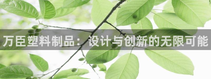 太阳成集团tyc9728：万臣塑料制品：设计与创新的无限可能