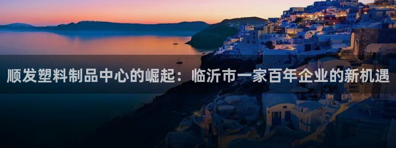 太阳集团城娱6543官网：顺发塑料制品中心的崛起：临沂市一家