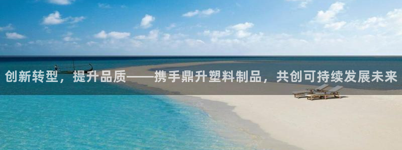 太阳诚集团：创新转型，提升品质——携手鼎升塑料制品，共创可持