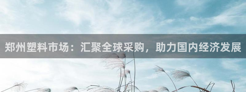 太阳集团2007：郑州塑料市场：汇聚全球采购，助力国内经济发