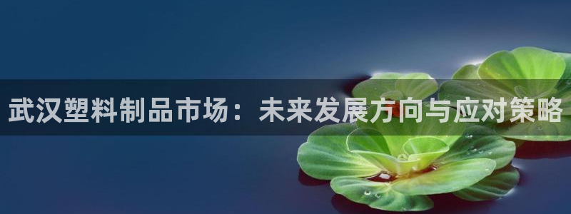 太阳成集团tyc3345：武汉塑料制品市场：未来发展方向与应