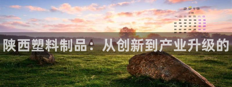 太阳成集团com：陕西塑料制品：从创新到产业升级的