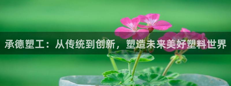 太阳集团游戏城旧版：承德塑工：从传统到创新，塑造未来美好塑料