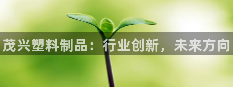 太阳集团游戏城旧版5376：茂兴塑料制品：行业创新，未来方向