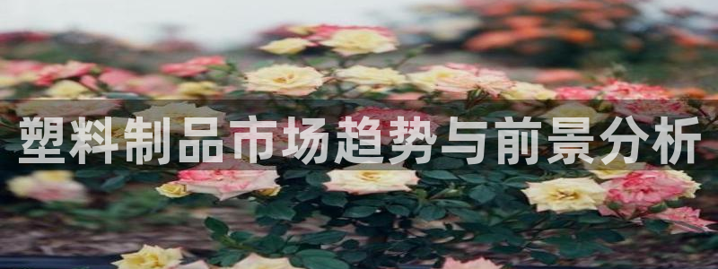 太阳诚集团APP在线观看：塑料制品市场趋势与前景分析