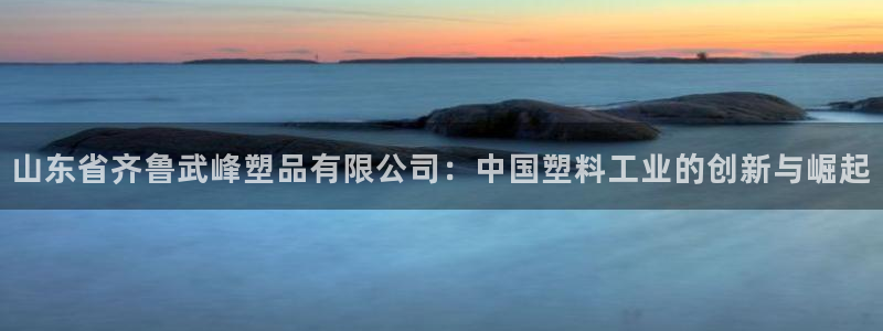 太阳集团电子游戏APP登录入口：山东省齐鲁武峰塑品有限公司：
