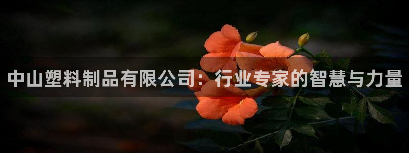 太阳成集团娱乐：中山塑料制品有限公司：行业专家的智慧与力量