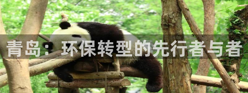 太阳1城集团网址：青岛：环保转型的先行者与者