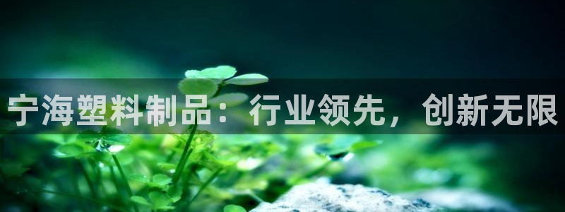 太阳集团的股价是多少：宁海塑料制品：行业领先，创新无限