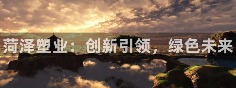 太阳成集团网站取款：菏泽塑业：创新引领，绿色未来