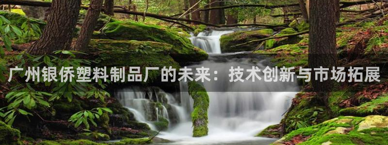 太阳集团网址首页：广州银侨塑料制品厂的未来：技术创新与市场拓