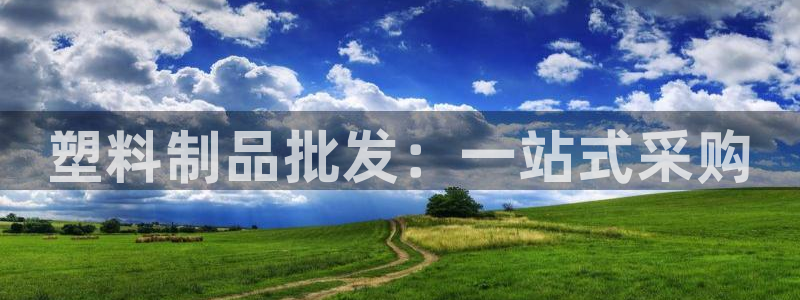 太阳集团是什么：塑料制品批发：一站式采购