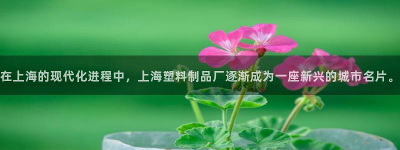 太阳集团网投：在上海的现代化进程中，上海塑料制品厂逐渐成为一