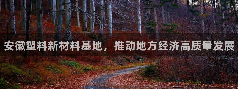 太阳影视公司：安徽塑料新材料基地，推动地方经济高质量发展