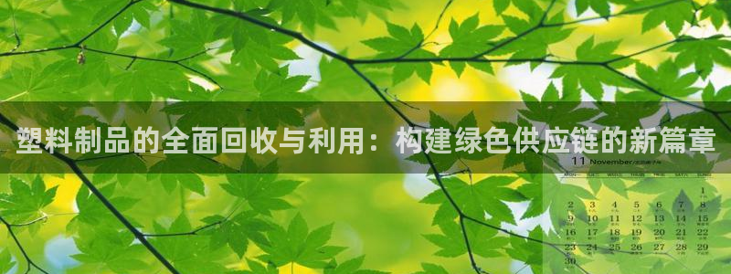 太阳成娱乐app下载：塑料制品的全面回收与利用：构建绿色供应