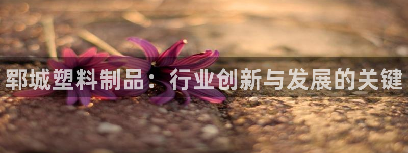 太阳成集团tyc33455cc平台：郓城塑料制品：行业创新与