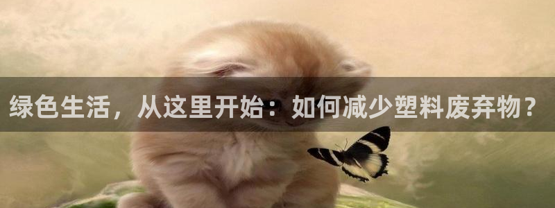 太阳成集团视频：绿色生活，从这里开始：如何减少塑料废弃物？