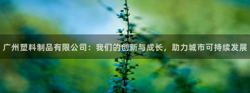 太阳集团董事长的儿子：广州塑料制品有限公司：我们的创新与成长