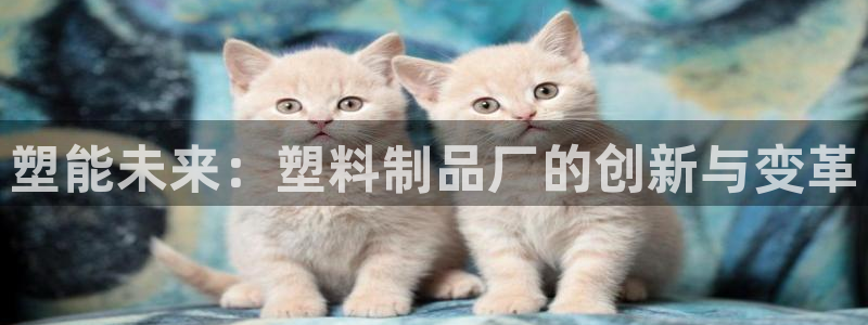 太阳集团城官网1407：塑能未来：塑料制品厂的创新与变革