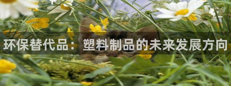 太阳成集团控股官网：环保替代品：塑料制品的未来发展方向